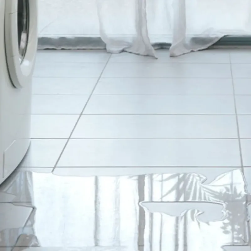 Appliance Leak Cleanup in Mitchell, IL