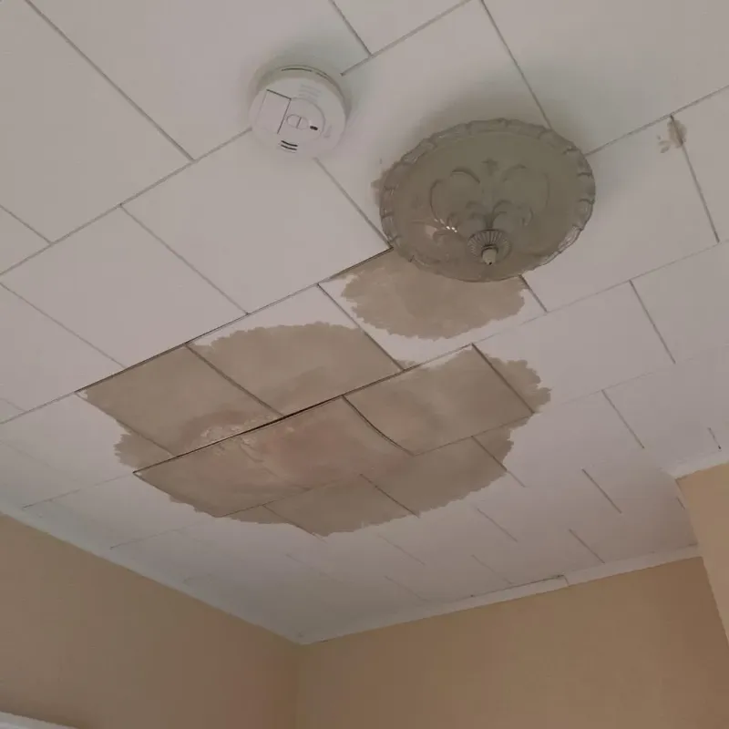 Ceiling Water Damage Repair in Mitchell, IL