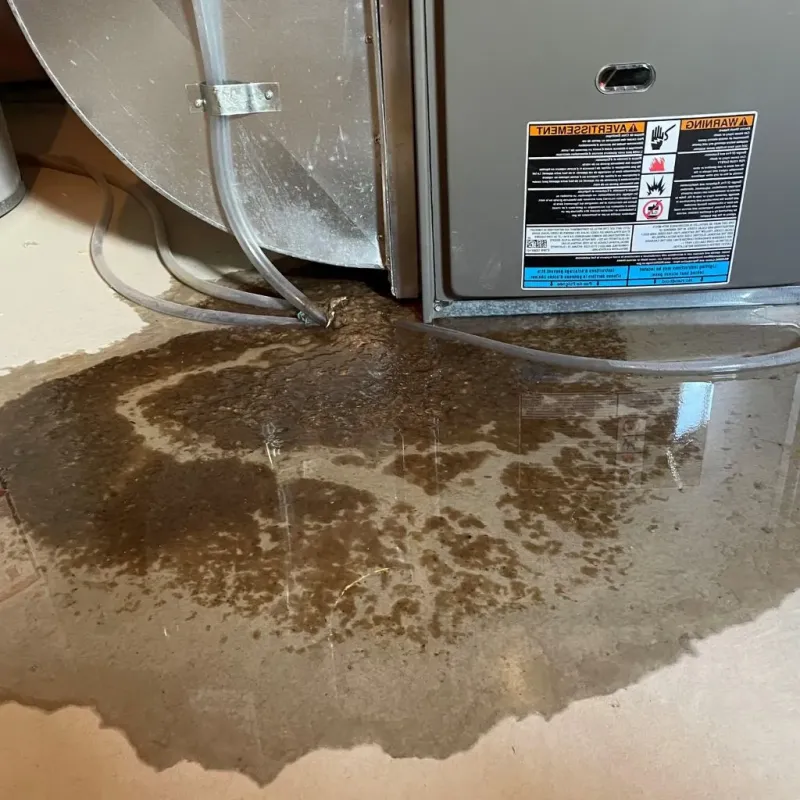 Pipe Burst and Leak Restoration in Mitchell, IL