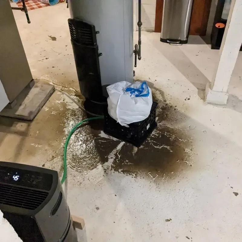Sewage Backup Cleanup Service in Mitchell, IL